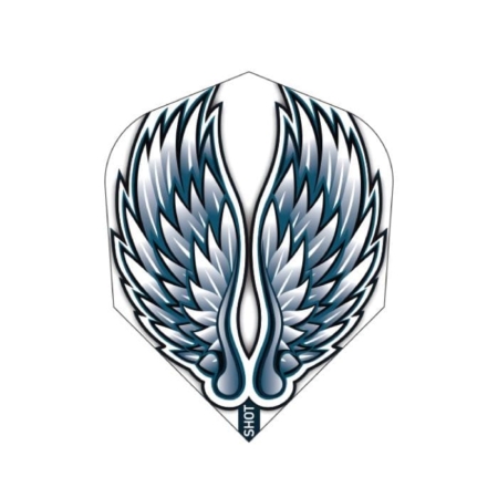 Shot Birds of Prey Eagle Wings Dart Flight