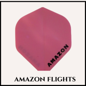 Amazon Flights